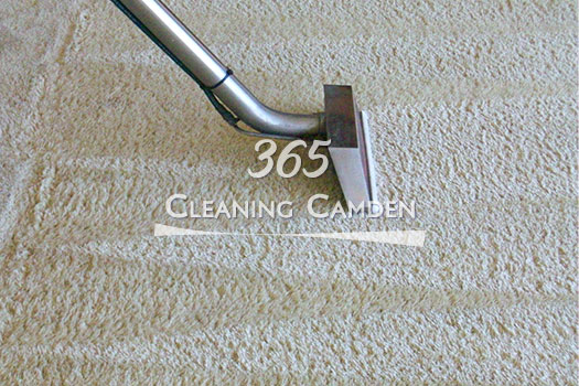 carpet cleaning