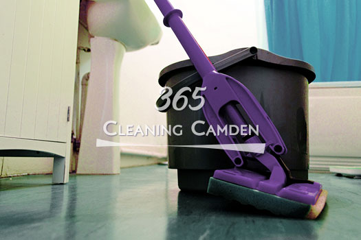 Domestic Cleaning